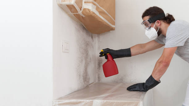 Professional Crawl Space Mold Remediation technician working in Nesconset, NY